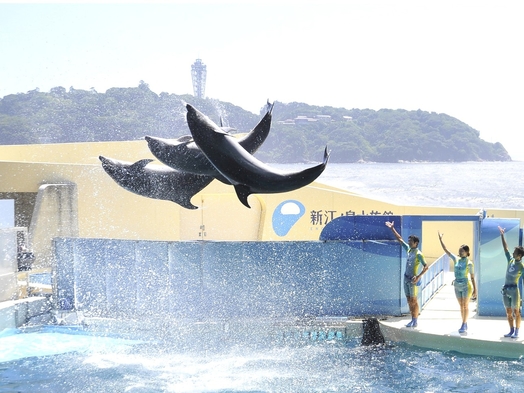 新江ノ島水族館ペア入場券付プラン◆☆入場券1枚料金で2枚付☆◆◇素泊り◇